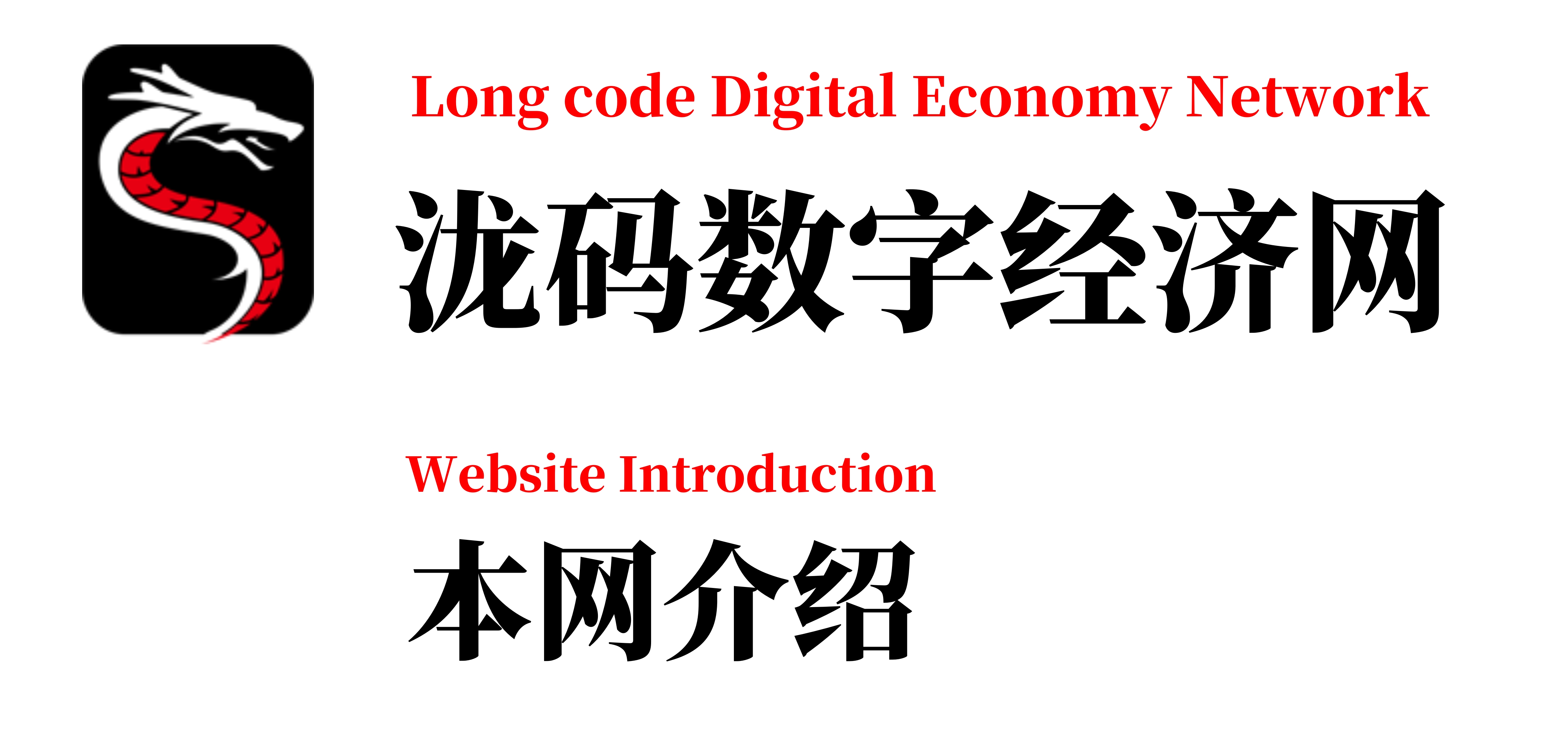 泷码数字经济网介绍