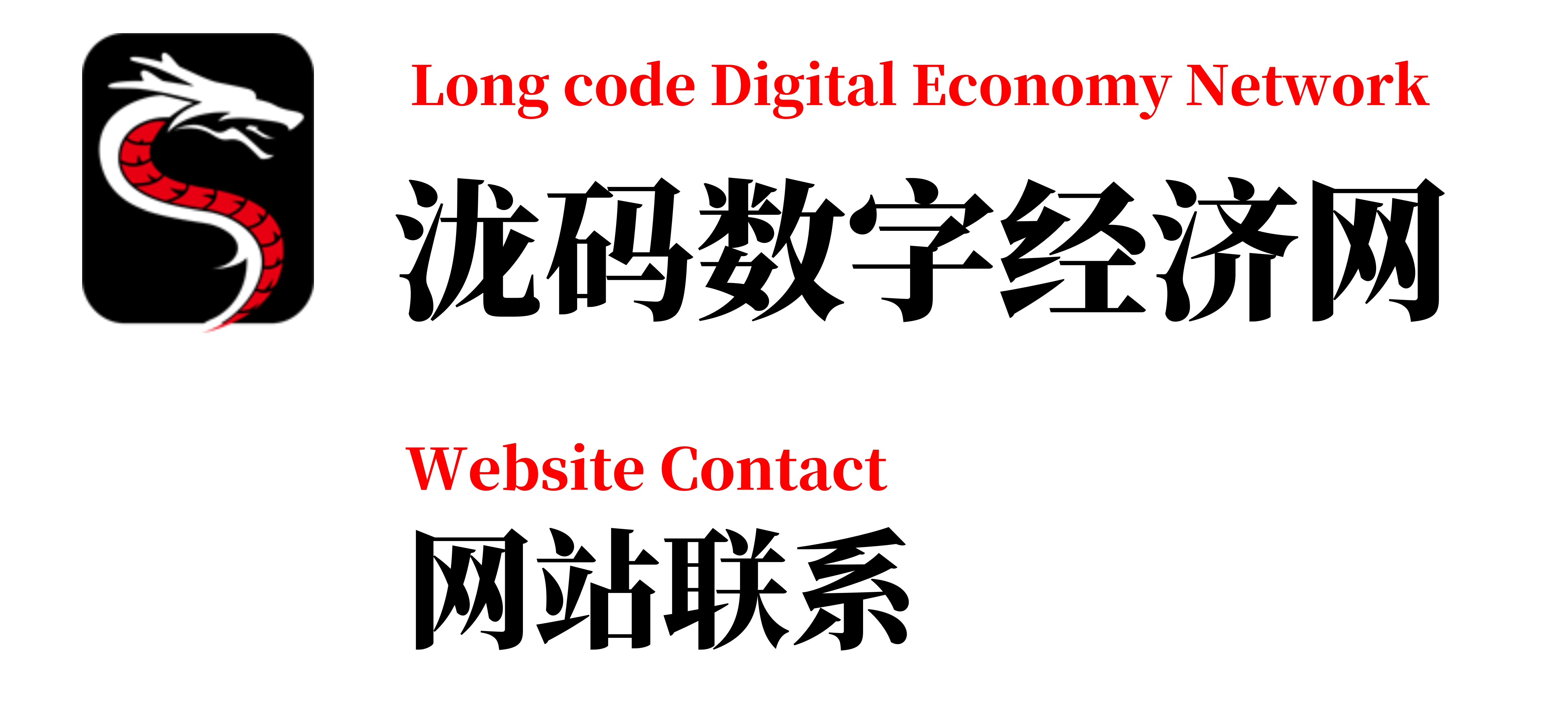 泷码数字经济网网站联系